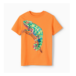 Jungen T-Shirts mit Print