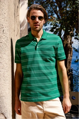 Shirts entdecken